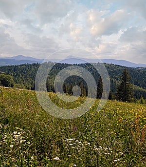 Summer Chornohora massiv mountains scenery view from Sevenei hill (near Yablunytsia pass, Carpathians, Ukraine