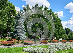 Summer city park at midday, bright sunny day, trees with shadows and green grass