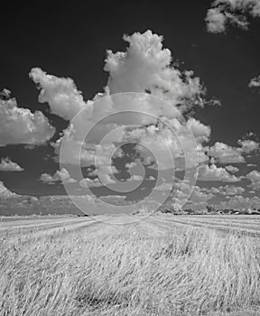 Summer clouds over fields