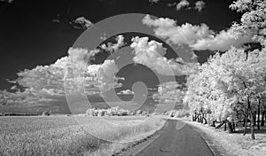 Summer clouds over fields