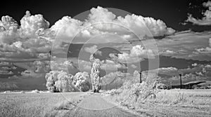 Summer clouds over fields
