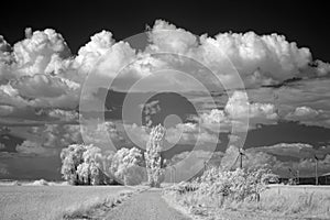 Summer clouds over fields