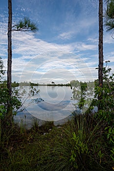 Summer cloudscape over pond in Everglades National Park.
