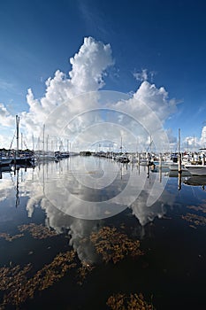 Summer cloudscape reflected in calm water of Dinner Key in Miami, Florida.