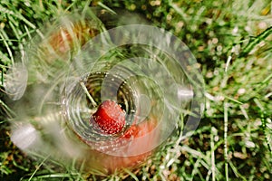 Summer cocktail with cherry photo