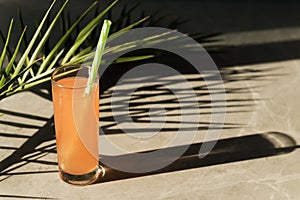 Summer cocktail concept with palm leaf and palm leaf`s shade. A glass of fresh grapefruit tonic drink is on a grey marble