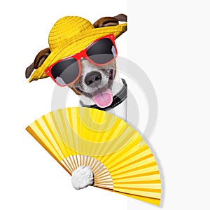 Summer cocktail dog