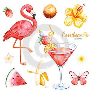 Summer collection with exotic fruits, flamingo