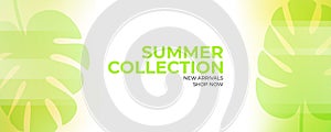 Summer Collection. New arrivals promotional banner. Summertime season abstract background with palm leaves. photo