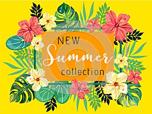 Summer collection tropical Banner Background.