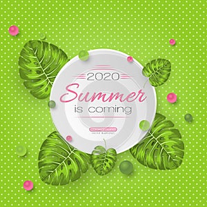 Summer is coming. Vector isolated illustration with palm leafes on green background.