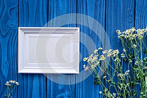 Summer compisition with camomile flowers and frame on blue wooden desk background top view mock up