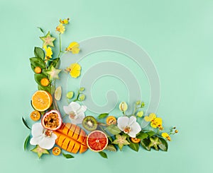 Summer composition with fruits and flowers on blue background