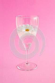 Summer composition with a glass of drink, flowers and ice against a pastel pink background. Minimal party and drink concept