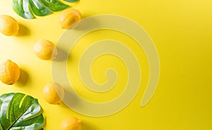 Summer composition made from lemon or lime, and monstera leaf on pastel yellow background. Fruit minimal concept. Flat lay, top