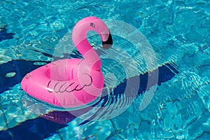 Summer concept background. Pink inflatable flamingo in pool water for summer beach background. Pool float party