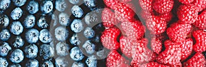 Summer concept. Banner with fresh red and blue summer berries. Raspberry and blueberry. Background of the raspberry and blueberry