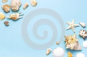 Summer concept, marine background. Different seashells and starfish on pastel blue background. Top view, flat lay, copy space. Sea