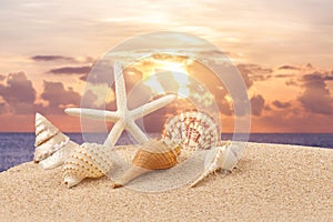 Summer concept with sandy beach, shells and starfish.selective focus.