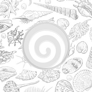 Summer concept with Unique museum collection of sea shells rare endangered species, molluscs gray contour on white background. Cir