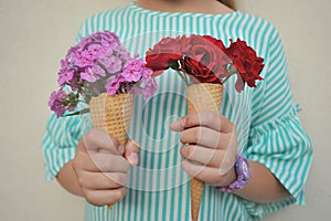 Summer concept with young girl holding  flower cones