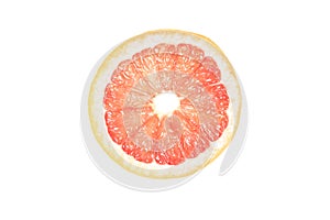 Summer coral grapefruit slice. Isolated white background