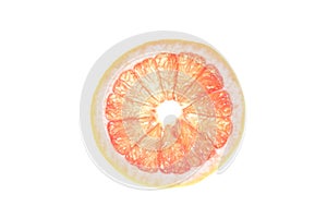 Summer coral grapefruit slice. Isolated white background