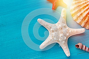 Summer corner border of sea shells scallop and star fish on blue wooden