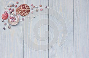 Summer corner border with seashells on shabby wooden planks.