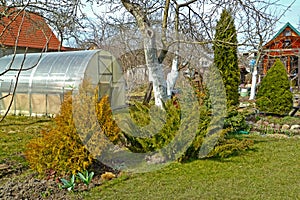 A summer cottage with a greenhouse and a house on the territory. Spring