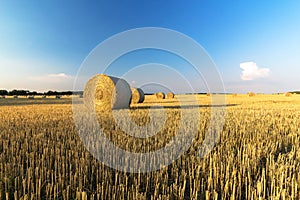 Summer country Field with Hay Bales and blue sky