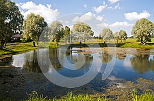 Summer country landscape with pond.