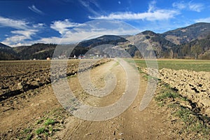 Summer country road and fields on the background of the blue bea