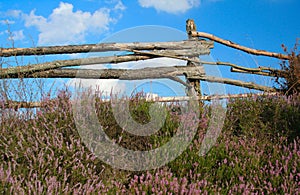 Summer country view with a farm fence