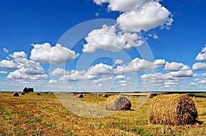 Summer in the countryside