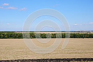 Summer countryside along the road in sunny day