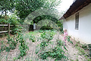 Summer in a countryside - girl in a garden