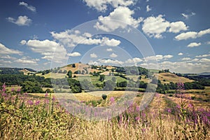 Summer Countryside Hills at Bright Sunny Day in Wales