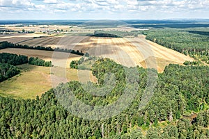 Summer countryside landscape with arable crop fields among forests under blue sky. aerial view