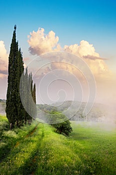 Summer countryside landscape with beautiful farmland and dirt road over sunrise sky