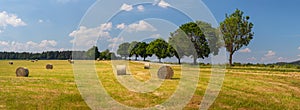 summer landscape with a field with straw bales, a tree avenue by the road and blue sky with white clouds, sunny day