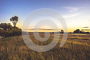 Summer countryside landscape sunset at golden summer flatland field with flowers and dramatic moody sky with moon golden hour photo