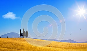 Summer countryside landscape; sunset over rolling hills and Tuscany farmland