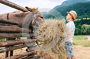 Summer in countryside: little boy helps on farm with animal