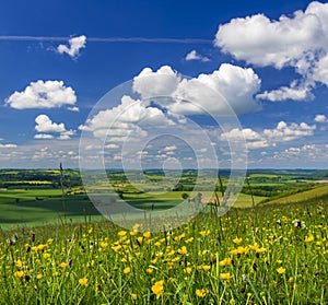 Summer Countryside Scene in Blackmore Vale and Vale of Wardour