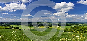 Summer Countryside Scene in Blackmore Vale and Vale of Wardour