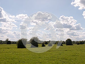 A summer countryside scene outside in essex england of the uk wi