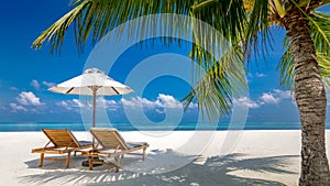 Summer couple destination scenic beach beds chairs umbrella palms. Love romantic travel landscape