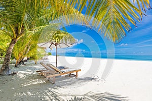 Summer couple destination scenic beach beds chairs umbrella palms. Love romantic travel landscape