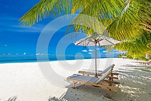 Summer couple destination scenic beach beds chairs umbrella palms. Love romantic travel landscape